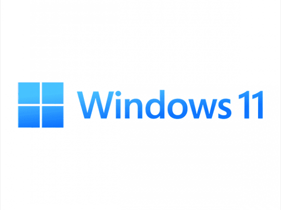 Windows 11 _ （Windows）