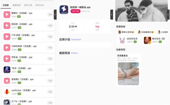 iApp 李先森v6软件库+后端 超好看功能多