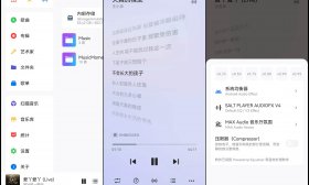 Salt Player(原椒盐音乐)v10.0.2正式版 本地音乐播放器