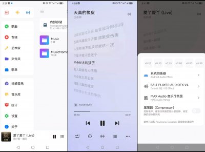 Salt Player(原椒盐音乐)v10.0.2正式版 本地音乐播放器