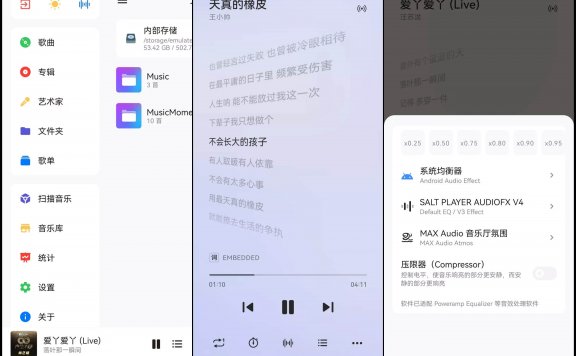 Salt Player(原椒盐音乐)v10.0.2正式版 本地音乐播放器