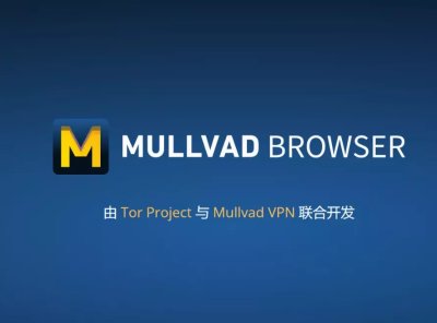 隐私浏览器 Mullvad Browser for Win & Mac &linux