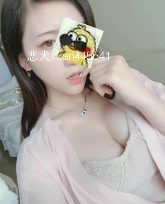 113-恶犬@茶杯恶犬福利合集32套